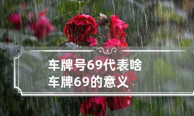 车牌号69代表啥 车牌69的意义