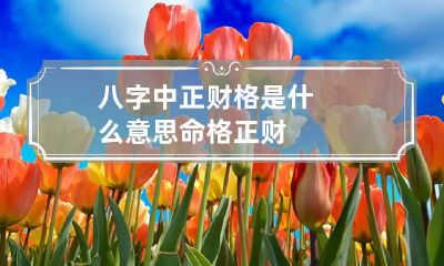 八字中正财格是什么意思 命格 正财