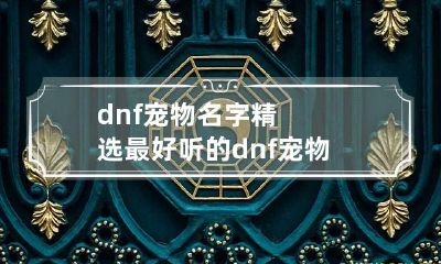 dnf宠物名字精选最好听的 dnf 宠物名字