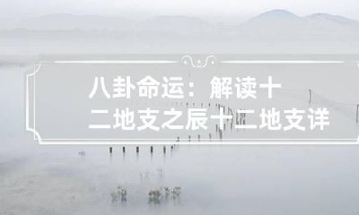 八卦命运:解读十二地支之辰 十二地支详解分析 辰