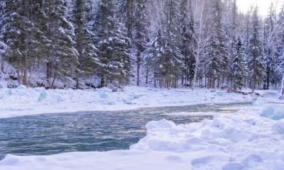 2019年农历十一月二十七冬至这天是什么日子?可以出殡吗?