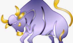 金牛男喜欢你的表现(个人观点)