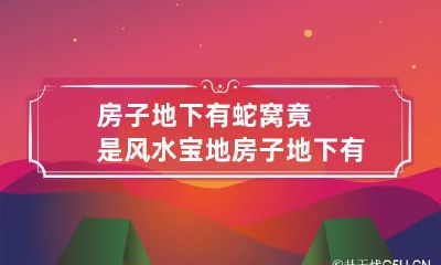 房子地下有蛇窝竟是风水宝地 房子地下有蛇好吗