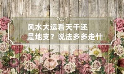 风水大运看天干还是地支?说法多多 走什么大运看天干还是地支