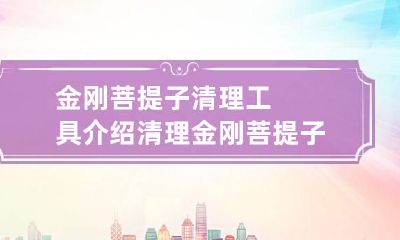 金刚菩提子清理工具介绍 清理金刚菩提子的脏东西怎么清