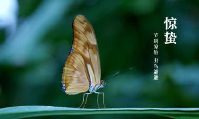 2019年惊蛰是几月几日,具体时辰是多少?2019年惊蛰的日子好吗?