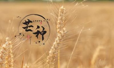 2019年惊蛰节气是什么日子,可以理发剪头发吗?