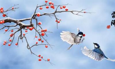 2018年霜降该天的时辰吉凶详解,霜降怎么补?