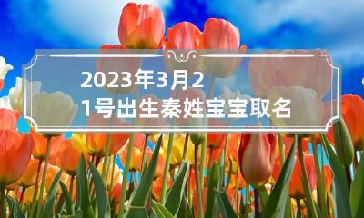 2023年3月21号出生秦姓宝宝取名叫什么