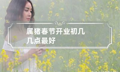 属猪春节开业初几几点最好