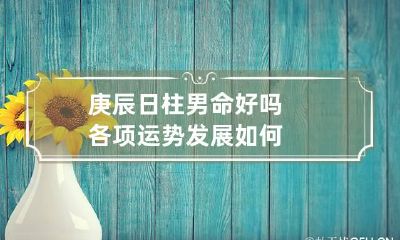 庚辰日柱男命好吗 各项运势发展如何