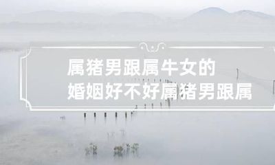 属猪男跟属牛女的婚姻好不好 属猪男跟属牛女的婚姻好不好相处