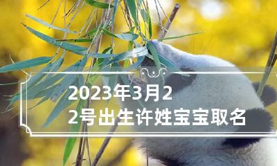2023年3月22号出生许姓宝宝取名叫什么