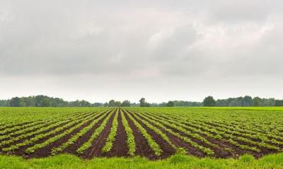 七月半鬼节吃什么传统食物?中元节的饮食有什么?