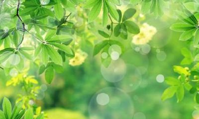 夏至之后是什么节气?二十四节气的由来