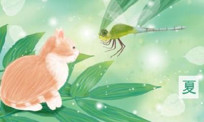 夏至的古诗谚语有哪些?夏至的来历是怎样的