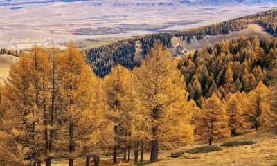 2019年11月9日立冬节气结婚好不好?立冬时辰宜忌