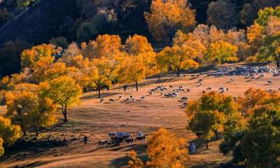 立冬节气之后如何养生?吃什么蔬菜好?