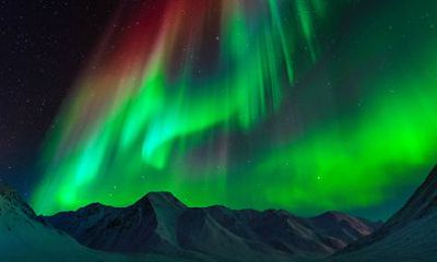 2022年最旺的生肖狗 整体运势吉凶参半