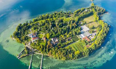 2022年起运的生肖 属牛一切变得顺利起来