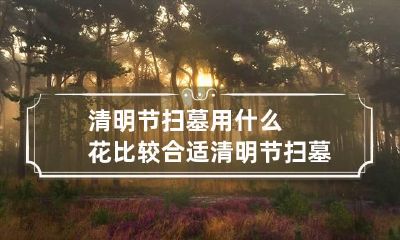 清明节扫墓用什么花比较合适 清明节扫墓应该用什么花
