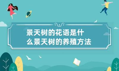 景天树的花语是什么 景天树的养殖方法