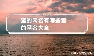 猪的网名有哪些 猪的网名大全