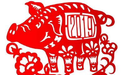 看相大叔12生肖2019年综合运势分析——生肖猪