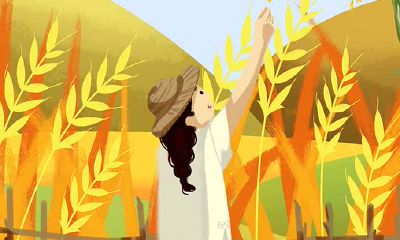 小满节气后,生活虽然忙碌,但收获多多的生肖