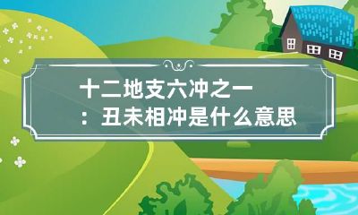 十二地支六冲之一:丑未相冲是什么意思
