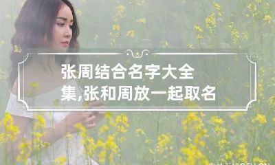 张周结合名字大全集,张和周放一起取名宝典
