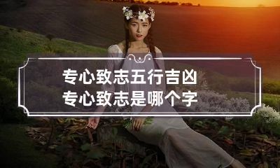 专心致志五行吉凶 专心致志是哪个字