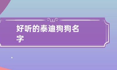 好听的泰迪狗狗名字