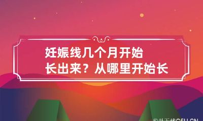 妊娠线几个月开始长出来?从哪里开始长