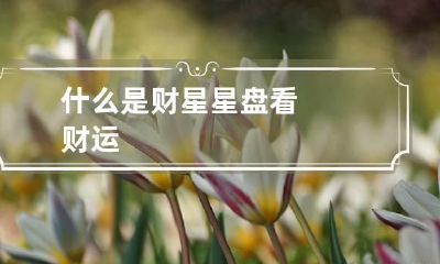 什么是财星 星盘看财运
