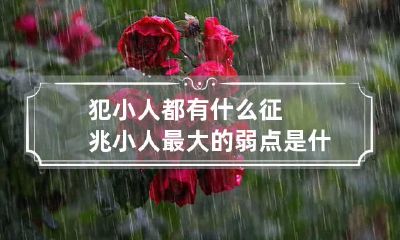 犯小人都有什么征兆 小人最大的弱点是什么