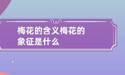梅花的含义 梅花的象征是什么
