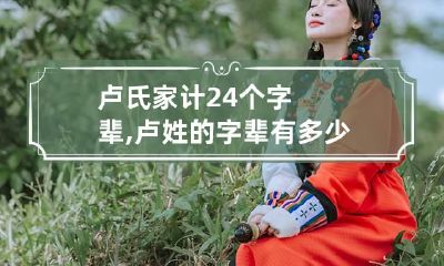 卢氏家计24个字辈,卢姓的字辈有多少 卢氏家谱字辈大全集