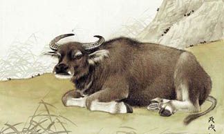 适合生肖牛的办公室风水