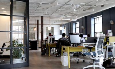 2019农历年前,适合换工作的四个生肖