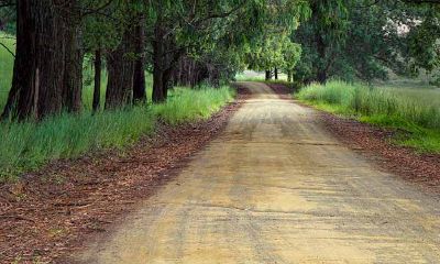 2019年你有好机遇和人缘吗?12生肖机缘运分析
