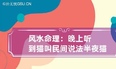 风水命理:晚上听到猫叫民间说法 半夜猫叫有什么预兆风水