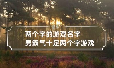 两个字的游戏名字男霸气十足 两个字游戏名字男干净