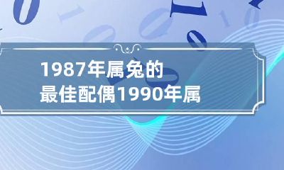 1987年属兔的最佳配偶 1990年属蛇的最佳配偶