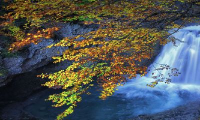 2月4日立春出生的人命格2023年