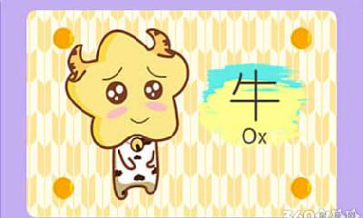 97属牛的和95属猪结婚 在一起会幸福吗