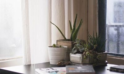 生活越低调越容易有财的生肖