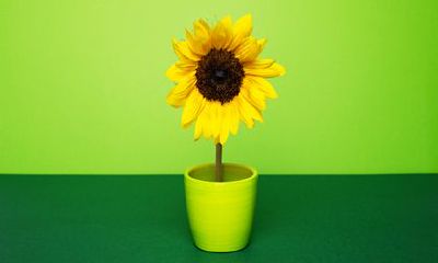 2023年哪些生肖婚姻相冲 不建议生肖龙在23年结婚