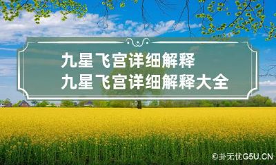九星飞宫详细解释 九星飞宫详细解释大全