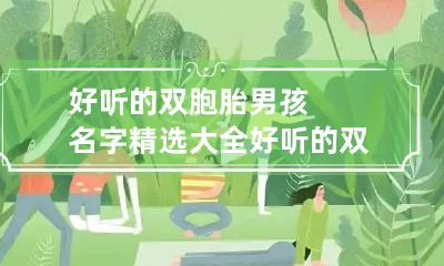 好听的双胞胎男孩名字精选大全 好听的双胞胎男孩名字精选大全两个字